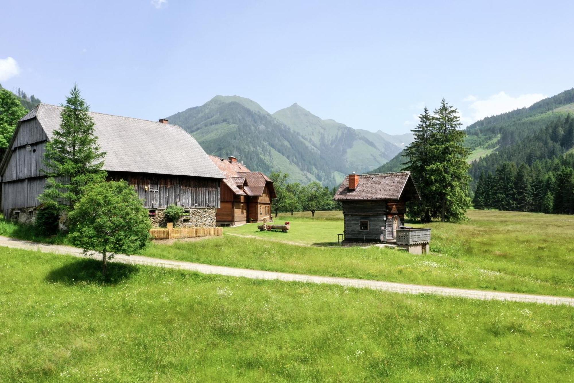 Schaffergut Appartements Donnersbachwald Dış mekan fotoğraf