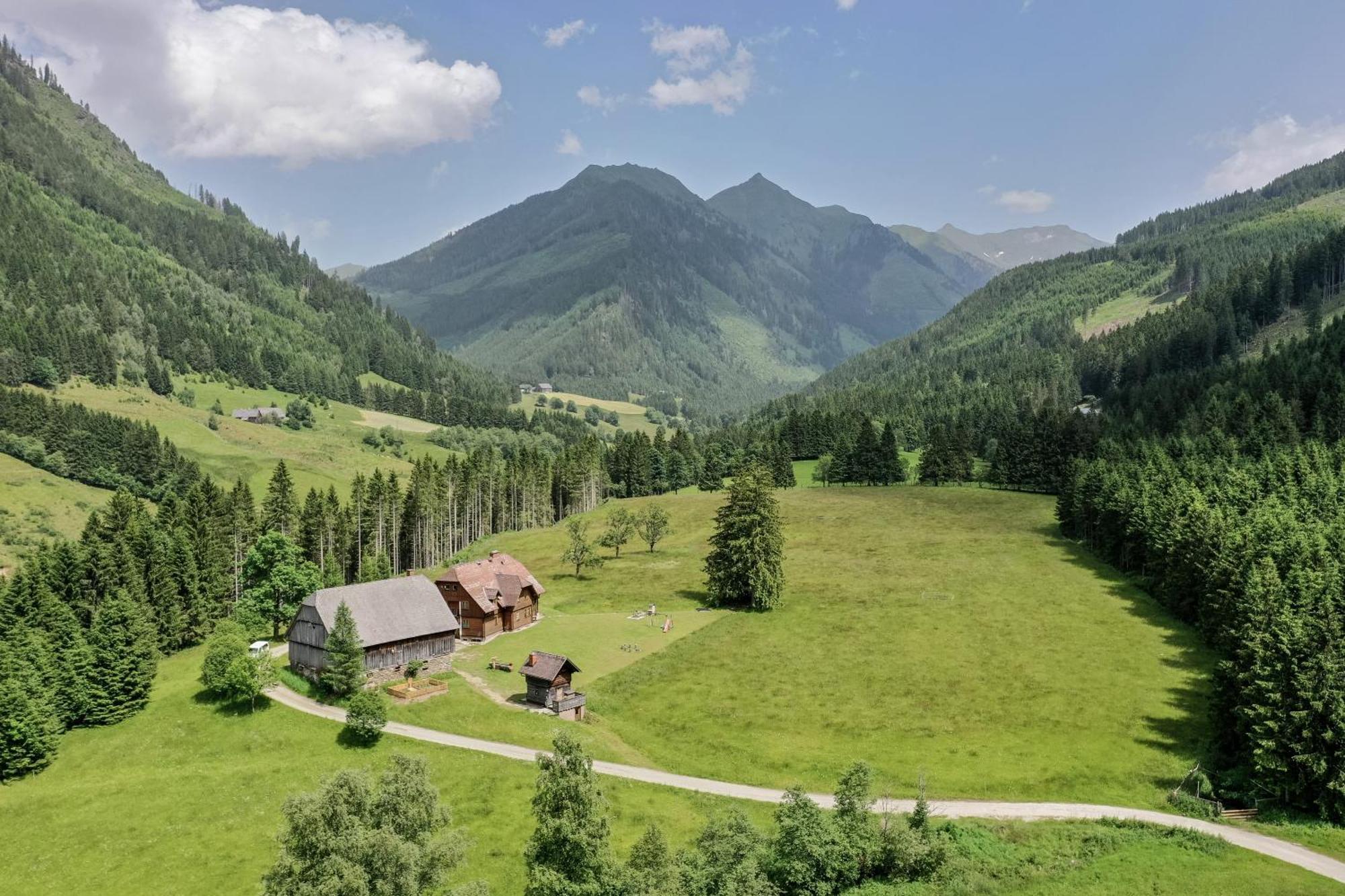 Schaffergut Appartements Donnersbachwald Dış mekan fotoğraf
