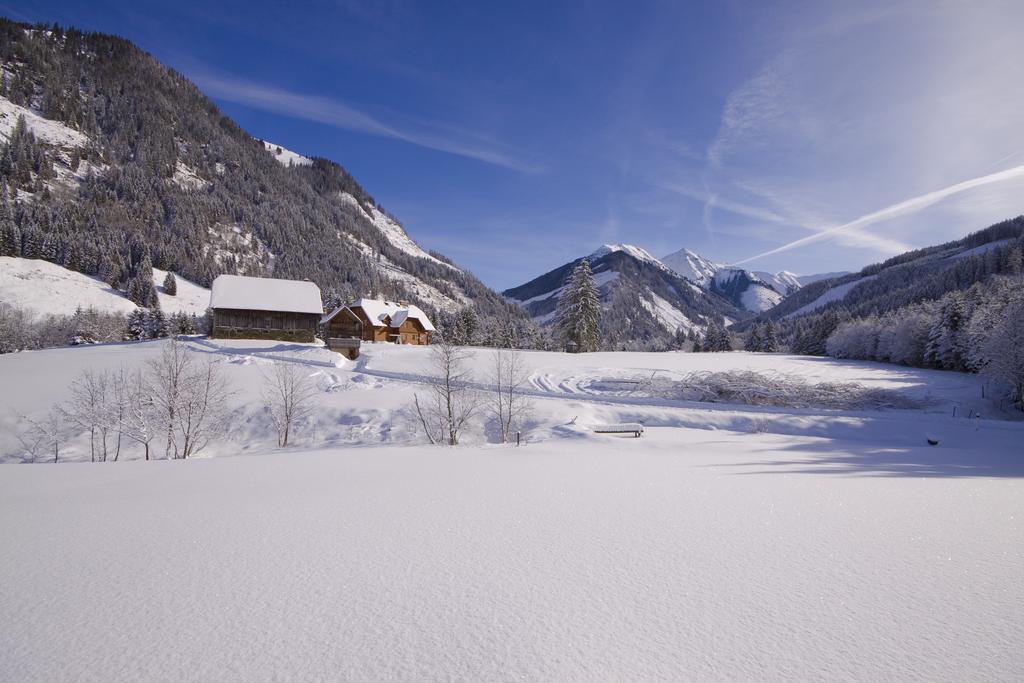 Schaffergut Appartements Donnersbachwald Dış mekan fotoğraf