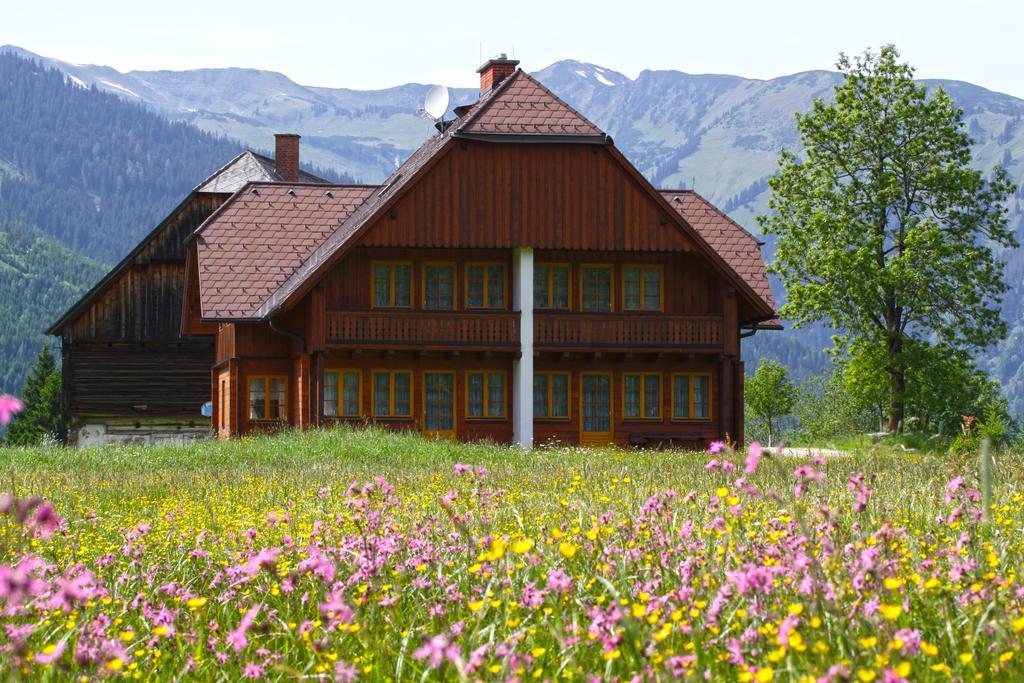Schaffergut Appartements Donnersbachwald Dış mekan fotoğraf