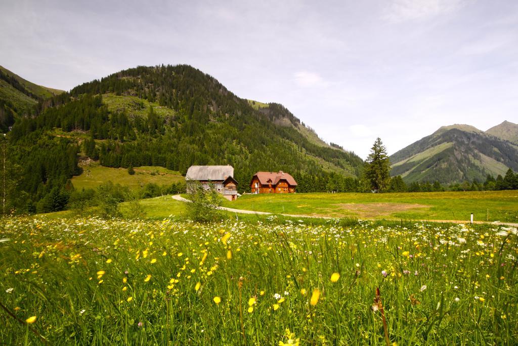 Schaffergut Appartements Donnersbachwald Dış mekan fotoğraf
