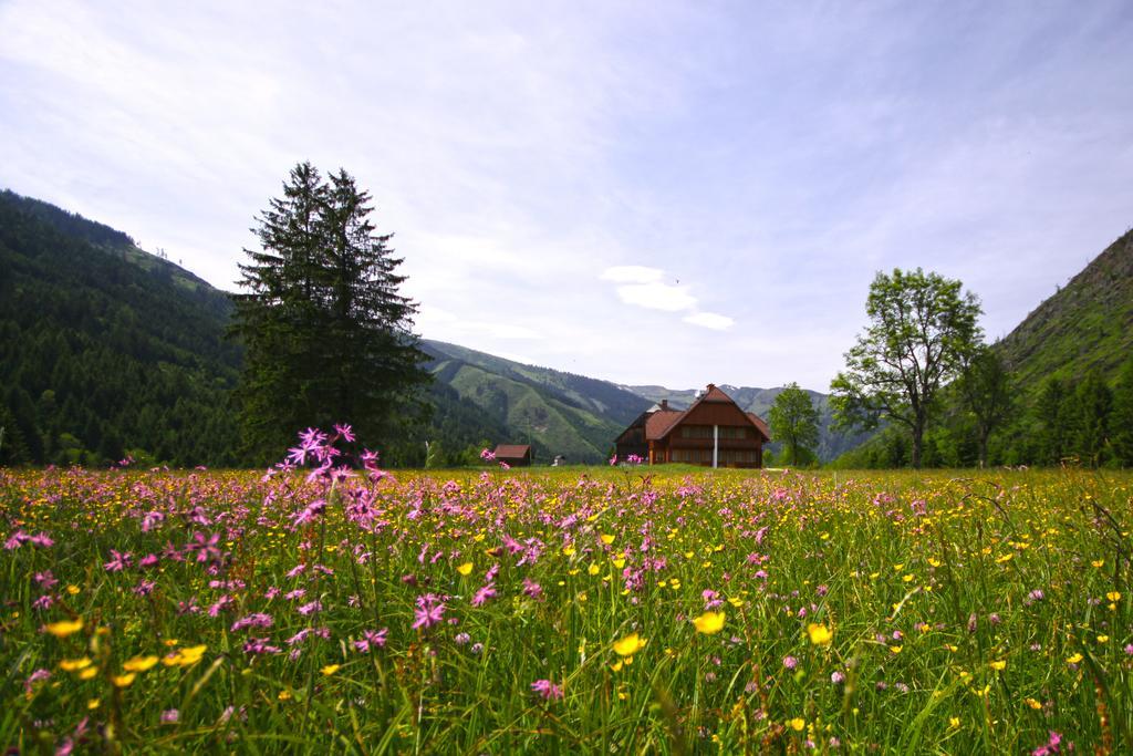 Schaffergut Appartements Donnersbachwald Dış mekan fotoğraf